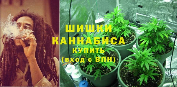 ГАЛЛЮЦИНОГЕННЫЕ ГРИБЫ Приозерск