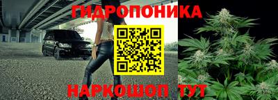 мяу мяу мука Ирбит
