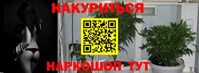 прущие грибы Изобильный