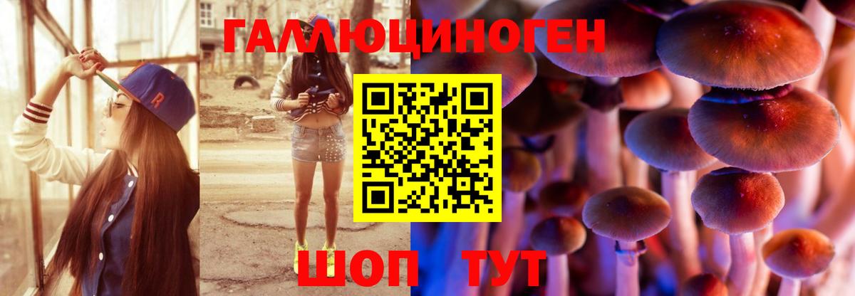 Псилоцибиновые грибы Psilocybine cubensis Саянск